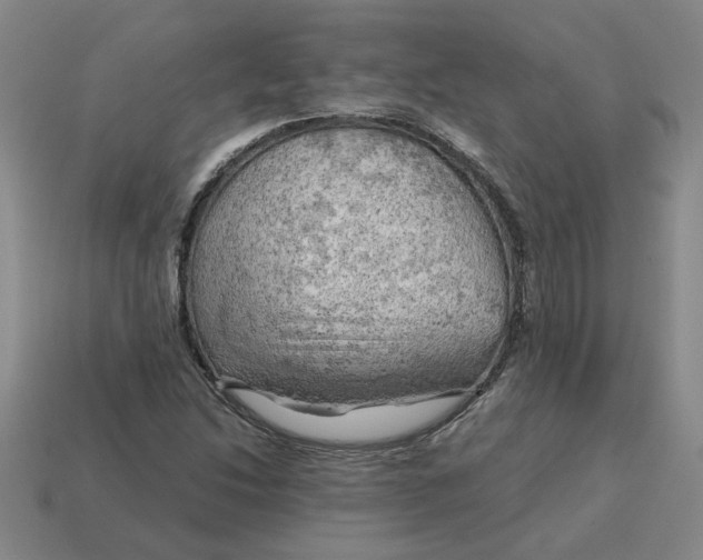 X0000114431214200911061636