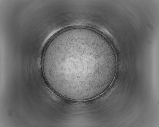 X0000114431216200911061636