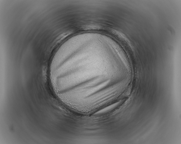 X0000114431217200911061636