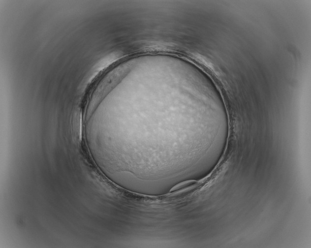 X0000114431219200911061636