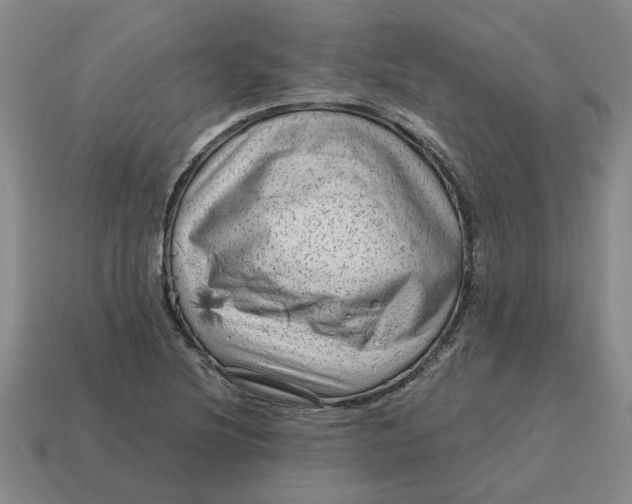 X0000114431220200911061636