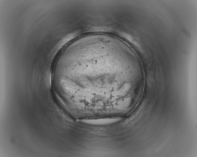 X0000114431221200911061636