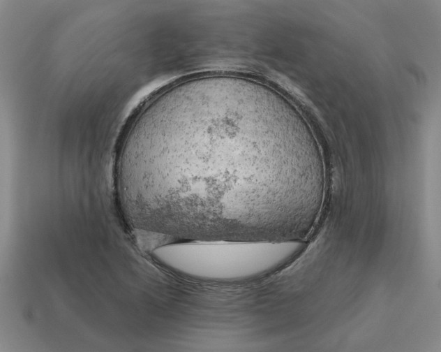 X0000114431222200911061636