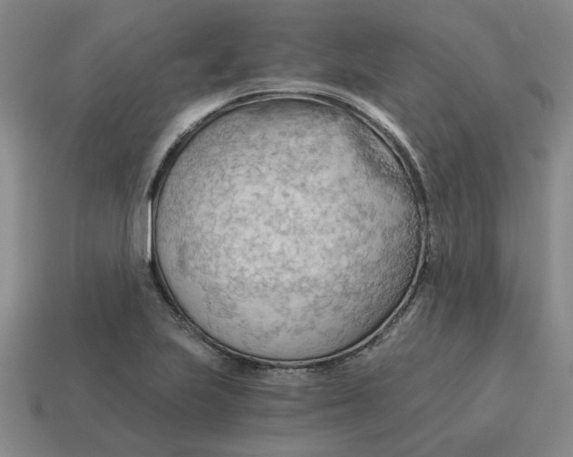 X0000114431223200911061636