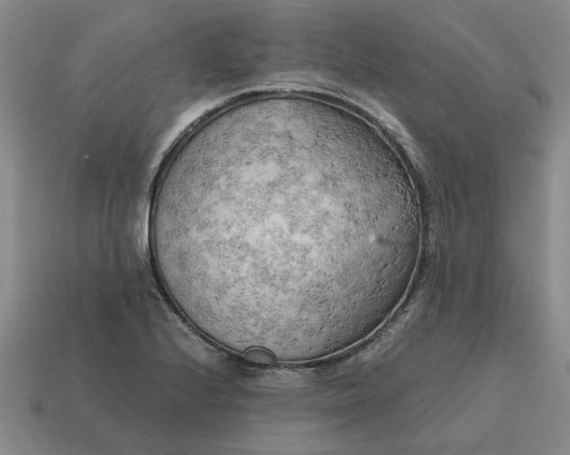X0000114431224200911061636