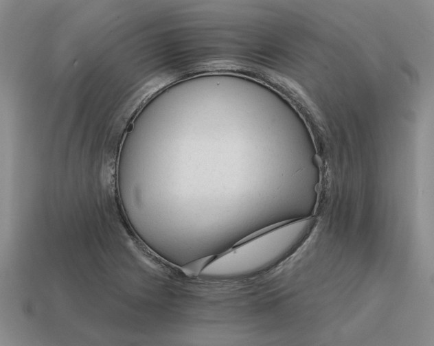 X0000114431225200911061636