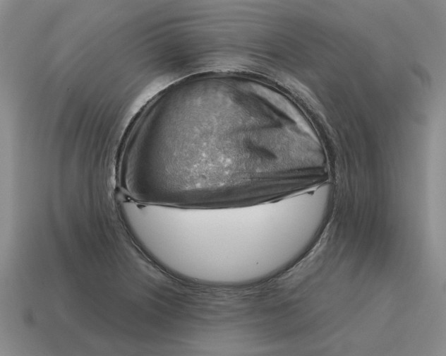 X0000114431226200911061636