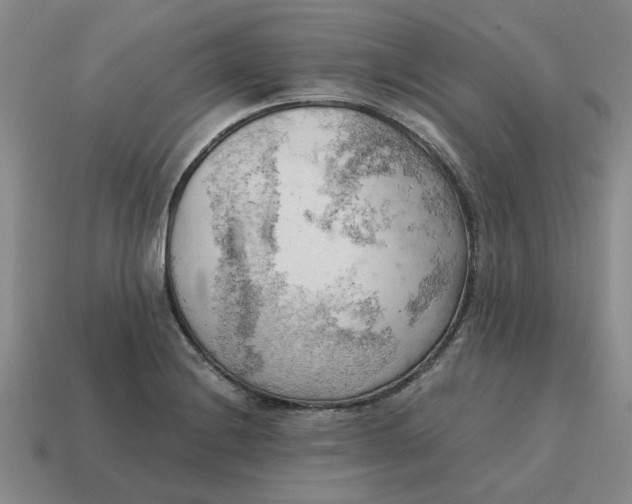 X0000114431228200911061636