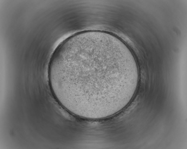 X0000114431230200911061636
