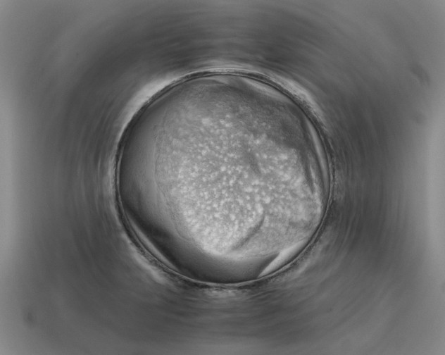 X0000114431231200911061636