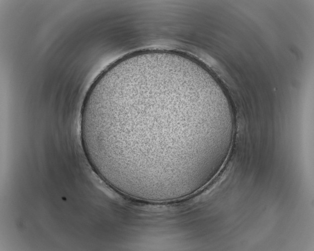 X0000114431232200911061636