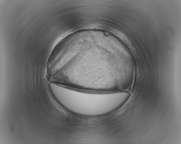 X0000114431234200911061636