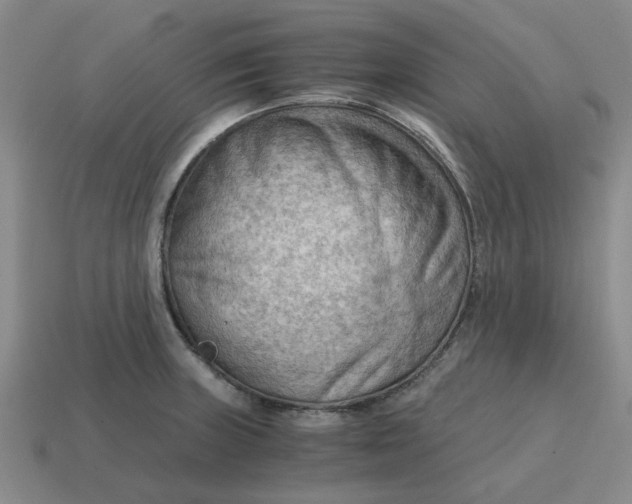 X0000114431235200911061636