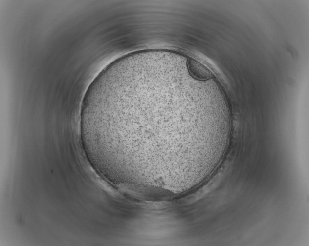 X0000114431236200911061636