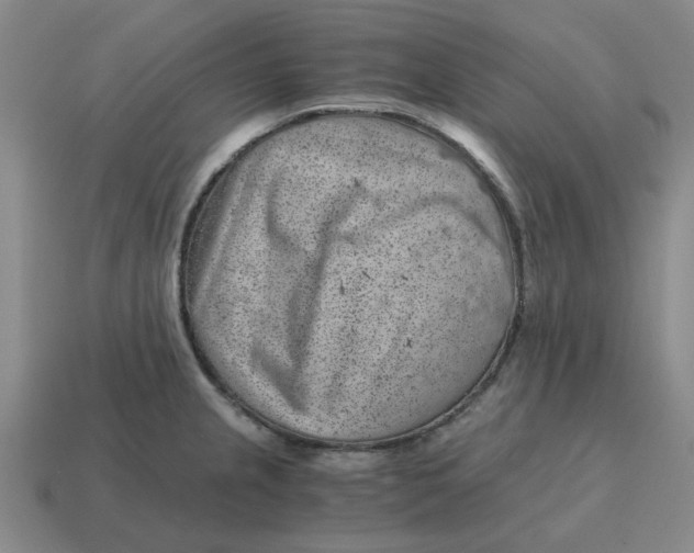 X0000114431237200911061636
