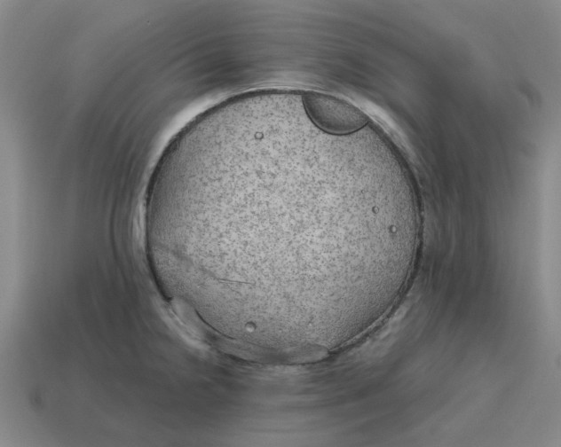 X0000114431238200911061636