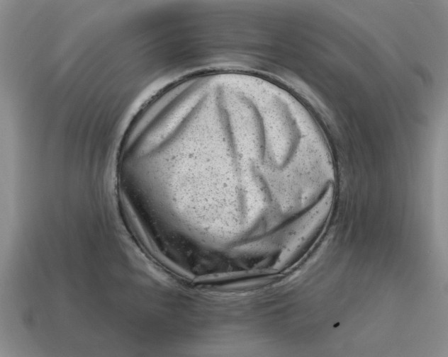 X0000114431240200911061636
