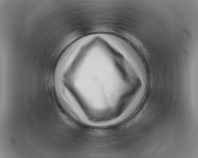 X0000114431241200911061636
