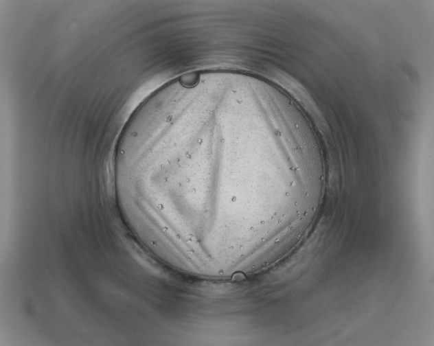 X0000114431242200911061636