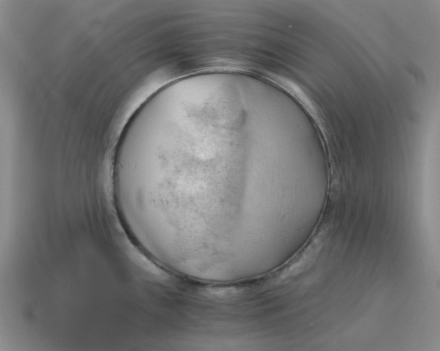 X0000114431243200911061636