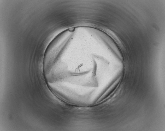 X0000114431244200911061636