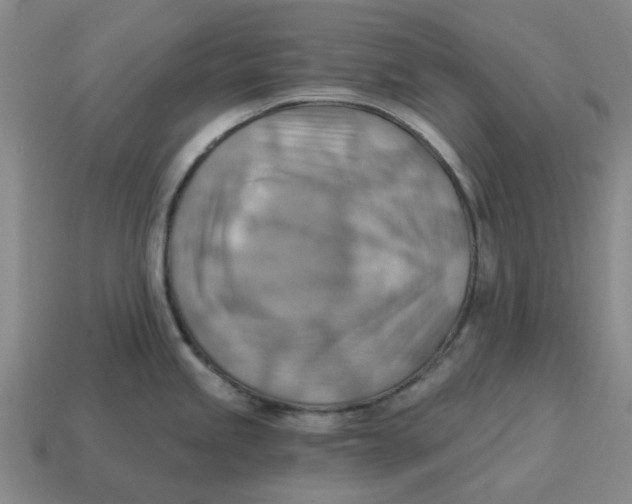 X0000114431245200911061636