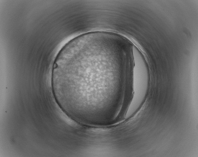 X0000114431246200911061637
