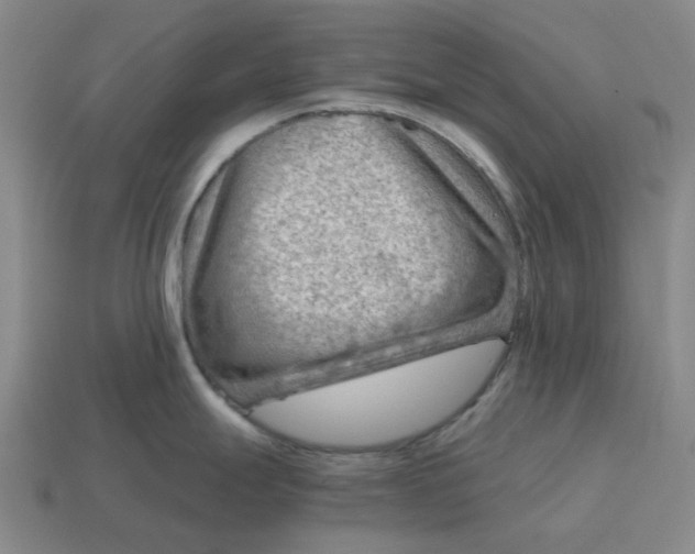 X0000114431247200911061637