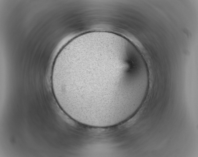 X0000114431248200911061637