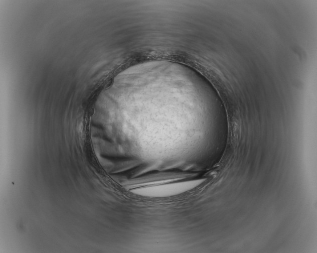 X0000114431250200911061636