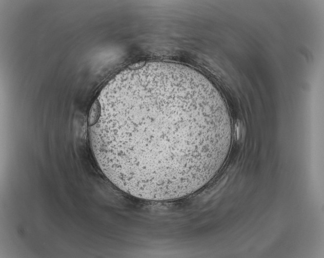 X0000114431251200911061636