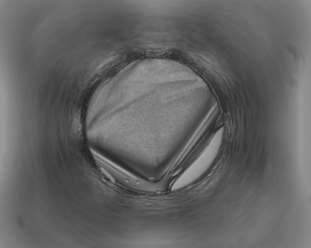 X0000114431252200911061636