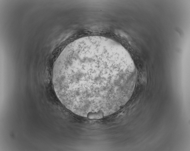 X0000114431253200911061636