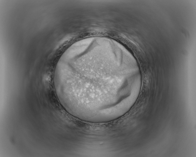X0000114431254200911061636