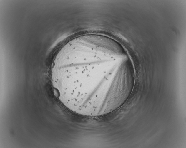 X0000114431255200911061636