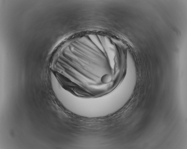 X0000114431256200911061636