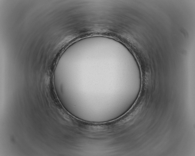 X0000114431257200911061636