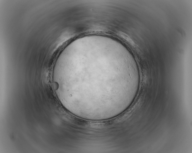 X0000114431258200911061636