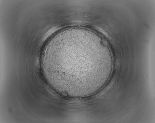 X0000114431259200911061636