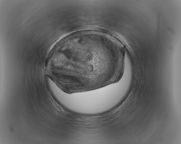 X0000114431260200911061636