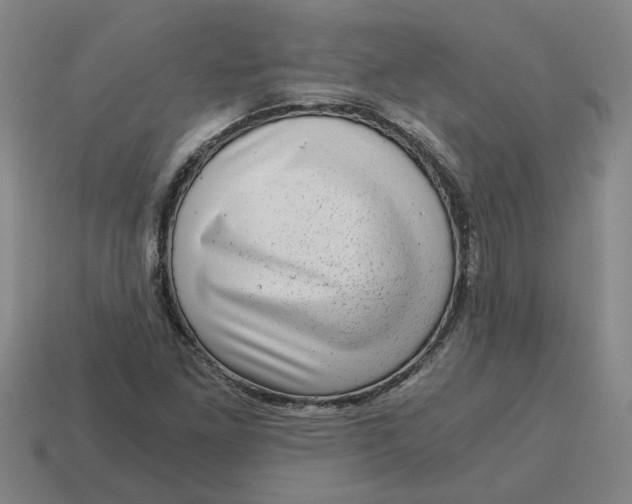 X0000114431261200911061636