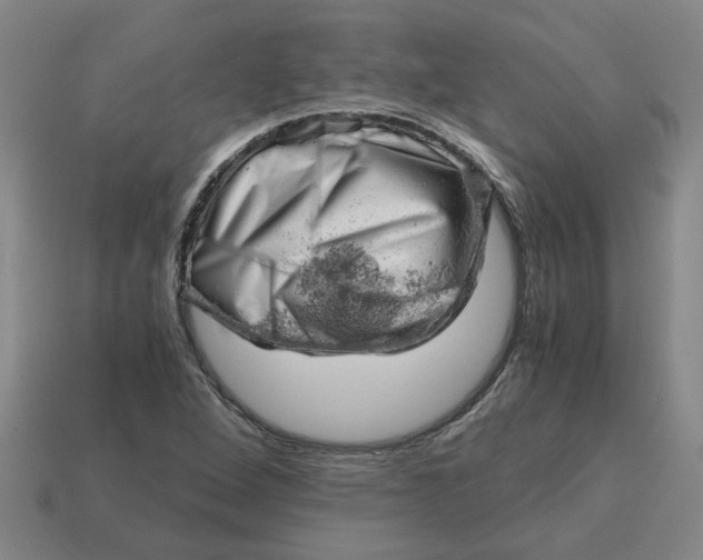 X0000114431264200911061636