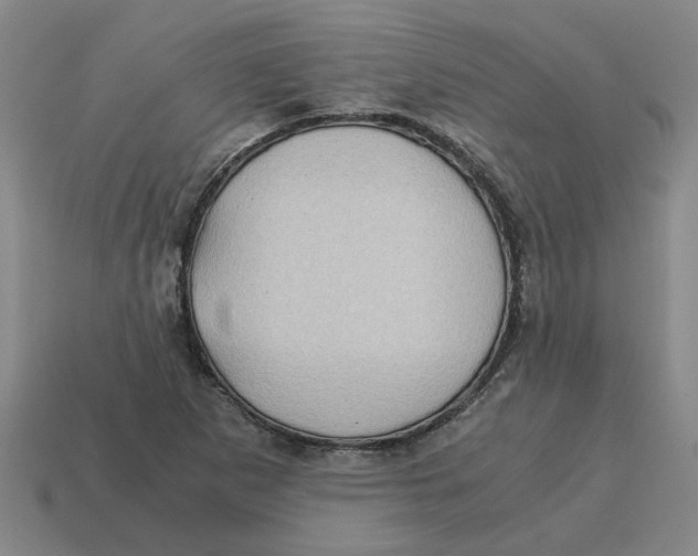 X0000114431265200911061636