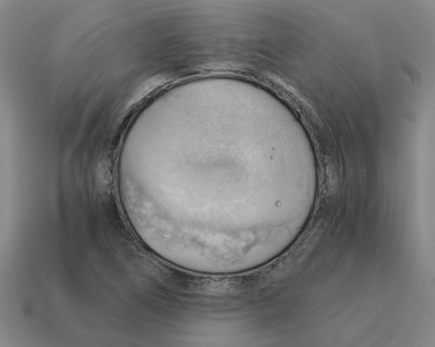 X0000114431266200911061636