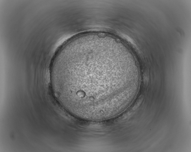 X0000114431267200911061636