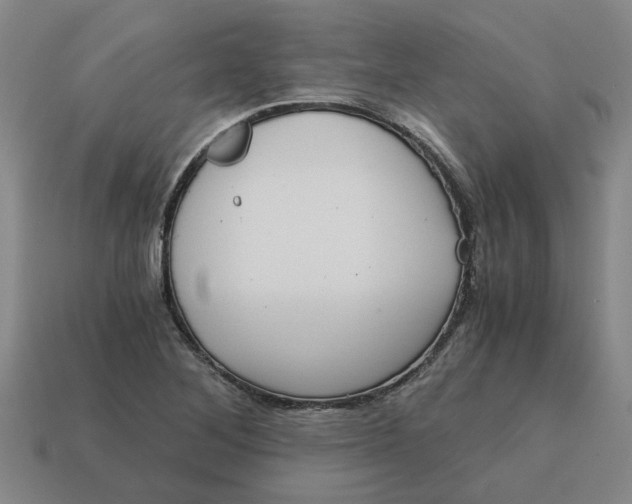 X0000114431268200911061636
