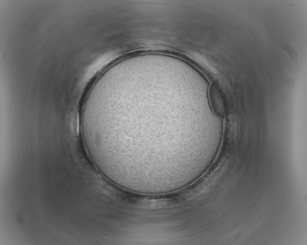 X0000114431269200911061636