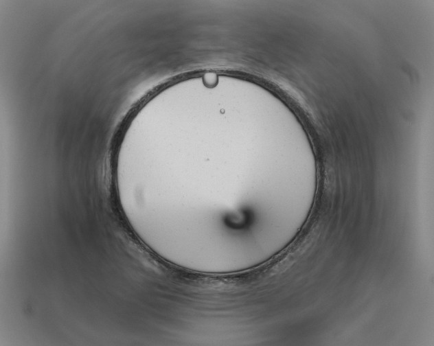 X0000114431270200911061636