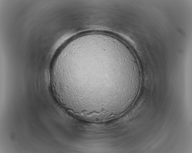 X0000114431271200911061636