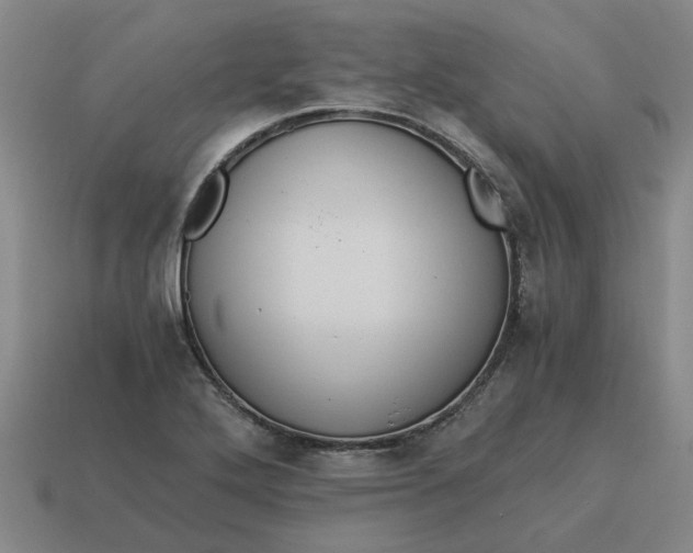 X0000114431272200911061636